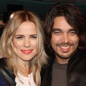 The Common Linnets - List pictures