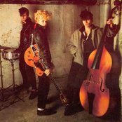 Stray Cats - List pictures