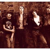 Pigeon Detectives - List pictures