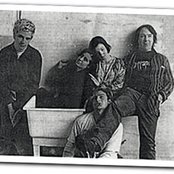 Blatz - List pictures