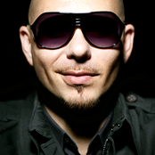 Pitbull - List pictures