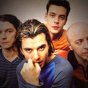 Bush - List pictures