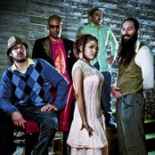 Dengue Fever - List pictures