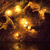 Wolves In The Throne Room - List pictures