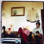 Liars - List pictures