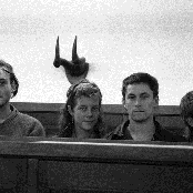 Able Tasmans - List pictures