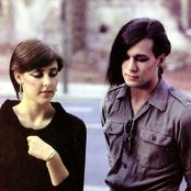 Human League - List pictures