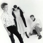 Smack - List pictures