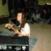 Paws - List pictures