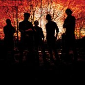 The Agony Scene - List pictures