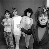 Slits - List pictures