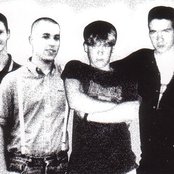 Krawallbrüder - List pictures