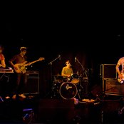 Woods - List pictures