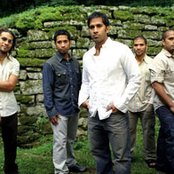 Katinas - List pictures