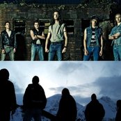 Dark Forest - List pictures