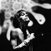 Pop Iggy - List pictures