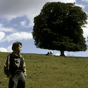 Gabriel Peter - List pictures