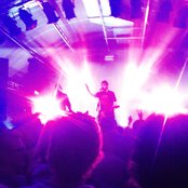 The Whip - List pictures