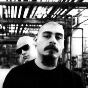Psycho Realm - List pictures