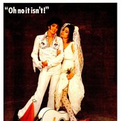 Voice Of The Beehive - List pictures