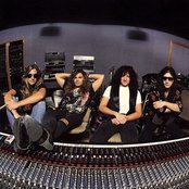 White Lion - List pictures