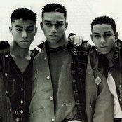 3t - List pictures