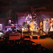 The Dead Daisies - List pictures