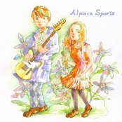 Alpaca Sports - List pictures