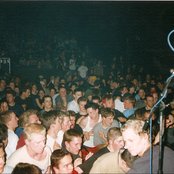 Diesel Boy - List pictures