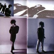 Caifanes - List pictures