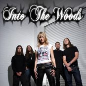 Into The Woods - List pictures