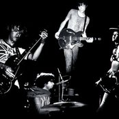 Dandy Warhols - List pictures