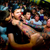 50 Lions - List pictures