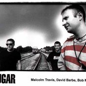 Sugar - List pictures