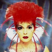Toyah - List pictures