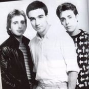 Fischer-z - List pictures