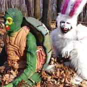 Animal Collective - List pictures