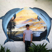 Blackbird Blackbird - List pictures