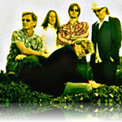 Flower Kings - List pictures