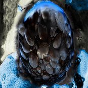 Brood Ma - List pictures