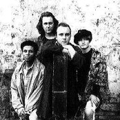 Boo Radleys - List pictures