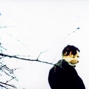 Mike Ladd - List pictures