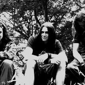 Snow - List pictures