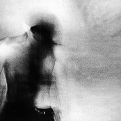 Dive - List pictures