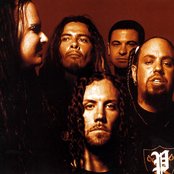 Korn - List pictures