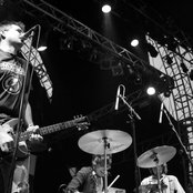 Shellac - List pictures