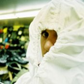 Mount Eerie - List pictures