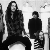 Black Crowes - List pictures