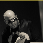 Mally Mall - List pictures