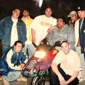 Terror Squad - List pictures